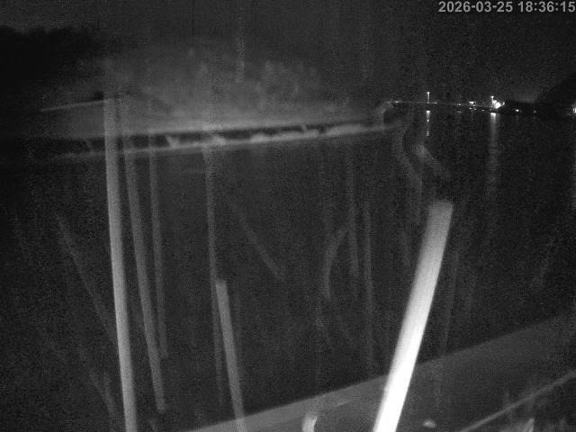 蒲生川１2026/03/26 10:40:00