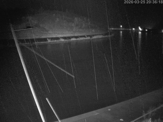 蒲生川１2026/03/26 10:40:00