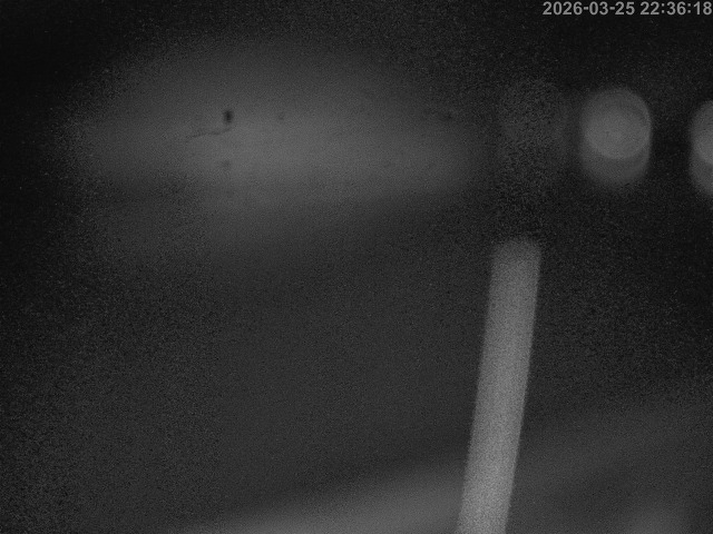 蒲生川１2026/03/26 10:40:00