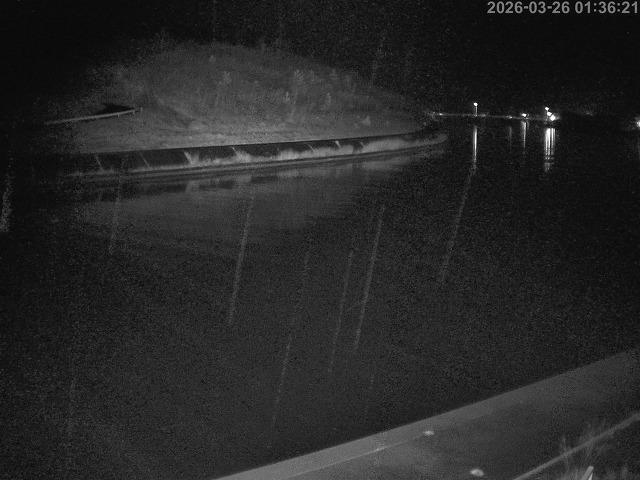 蒲生川１2026/03/26 10:40:00