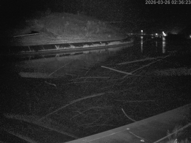 蒲生川１2026/03/26 10:40:00