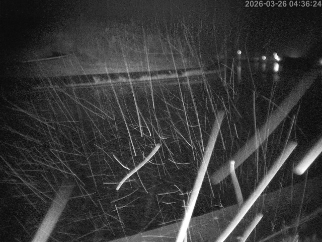 蒲生川１2026/03/26 10:40:00