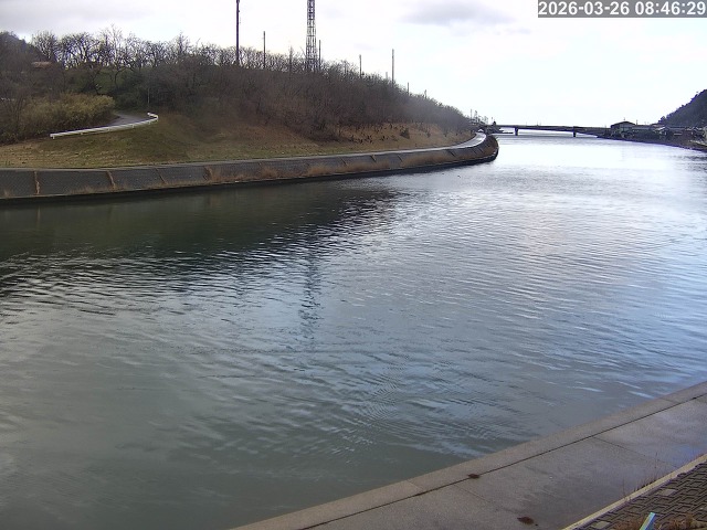 蒲生川１2026/03/26 10:40:00