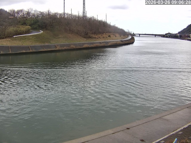 蒲生川１2026/03/26 10:40:00