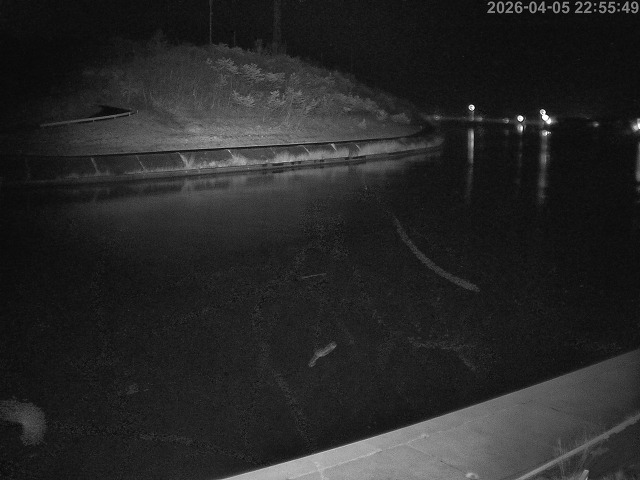 蒲生川１2026/04/06 0:30:00