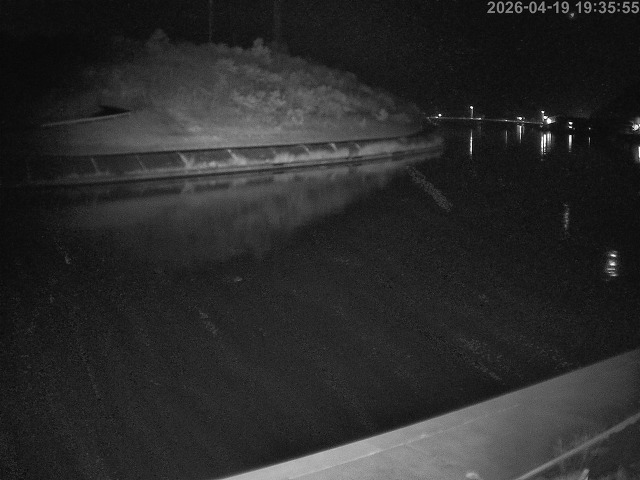 蒲生川１2026/04/20 3:10:00