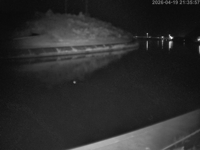 蒲生川１2026/04/20 3:10:00