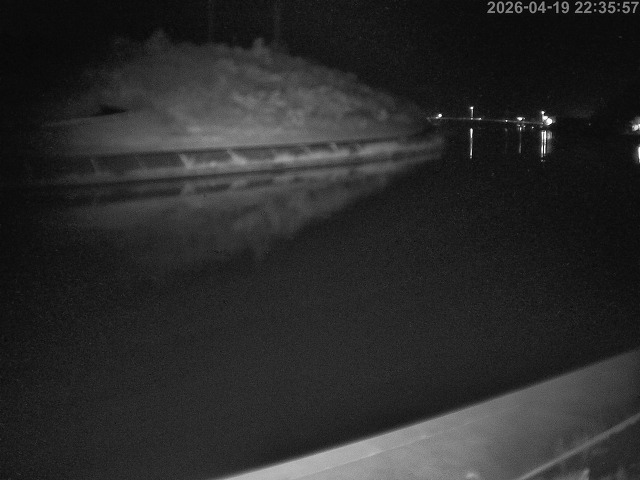 蒲生川１2026/04/20 3:10:00