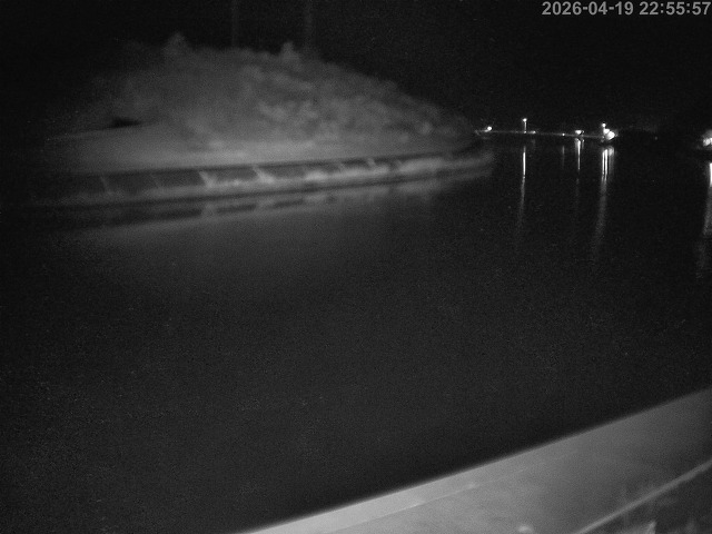 蒲生川１2026/04/20 3:10:00