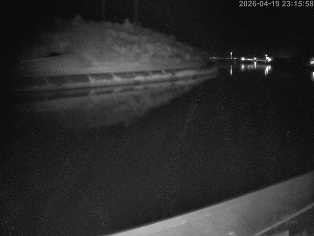 蒲生川１2026/04/20 3:10:00