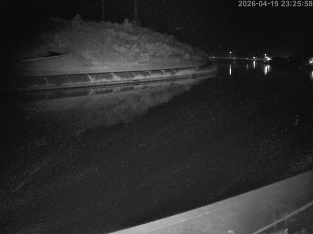 蒲生川１2026/04/20 3:10:00