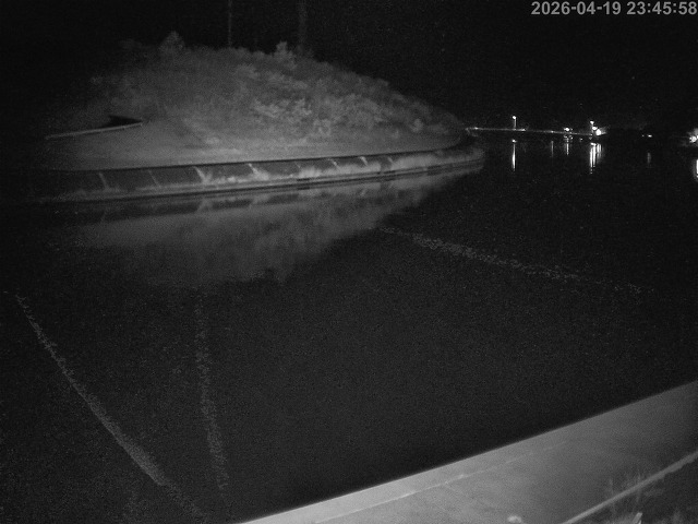 蒲生川１2026/04/20 3:10:00