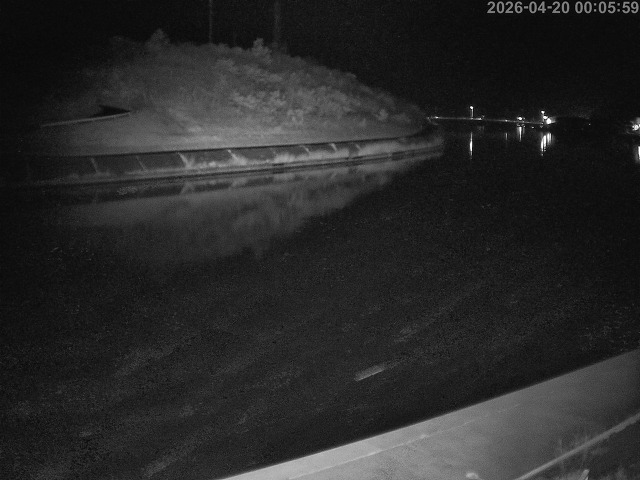 蒲生川１2026/04/20 3:10:00