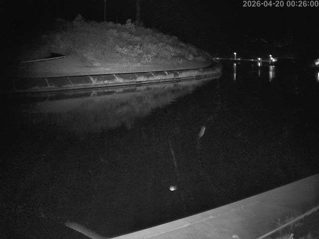 蒲生川１2026/04/20 3:10:00