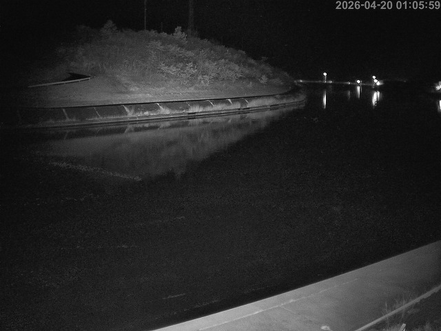 蒲生川１2026/04/20 3:10:00