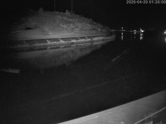 蒲生川１2026/04/20 3:10:00