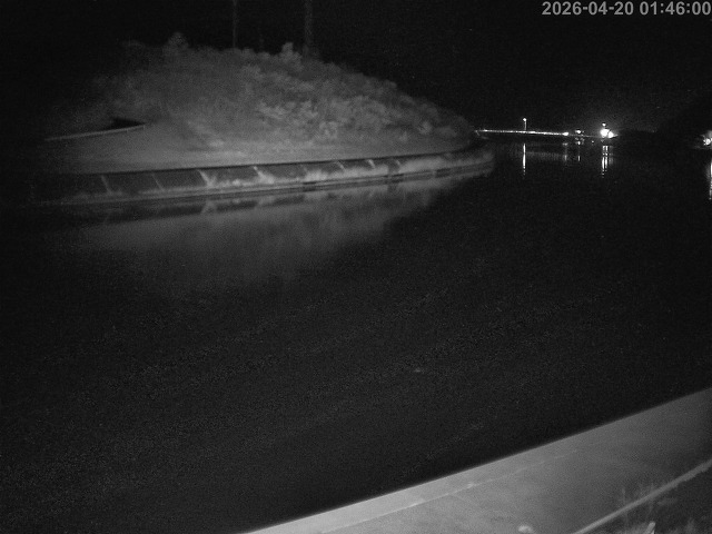 蒲生川１2026/04/20 3:10:00