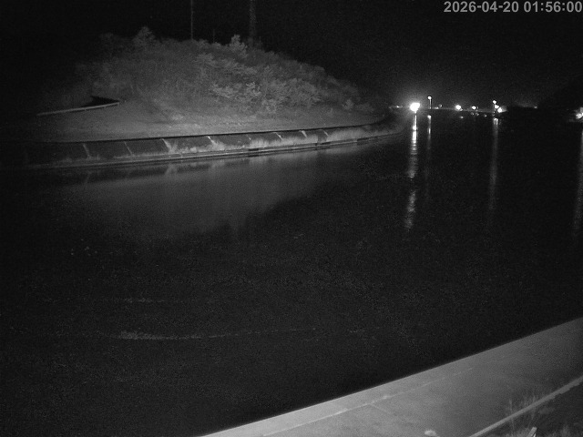 蒲生川１2026/04/20 3:10:00