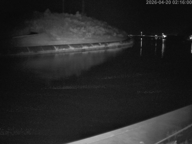 蒲生川１2026/04/20 3:10:00