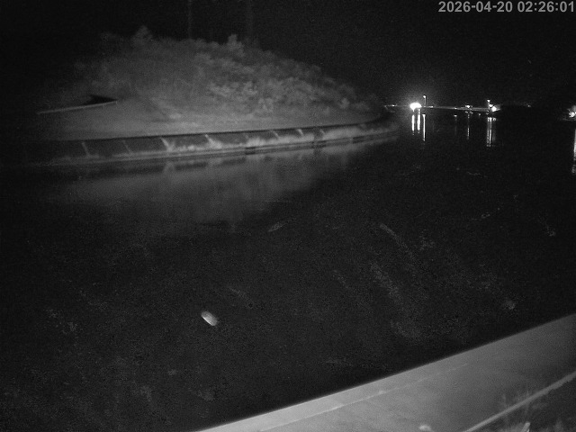 蒲生川１2026/04/20 3:10:00