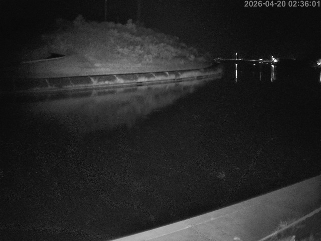 蒲生川１2026/04/20 3:10:00