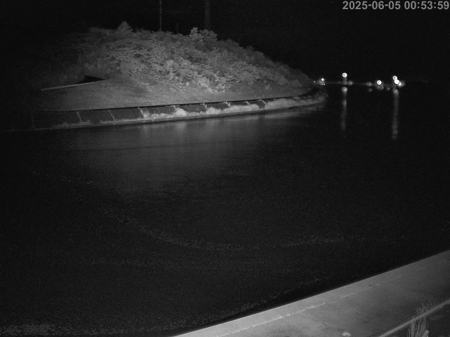 蒲生川１2025/06/06 1:20:00