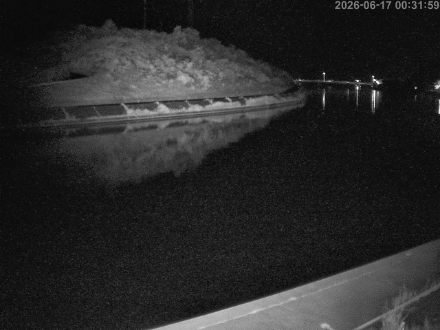 蒲生川１2026/06/17 12:00:00