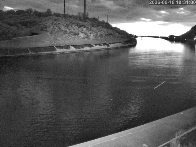 蒲生川１2026/06/19 3:00:00