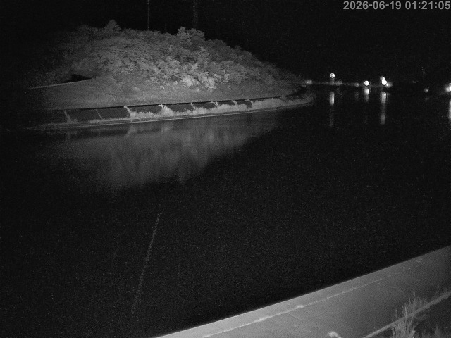 蒲生川１2026/06/19 3:00:00