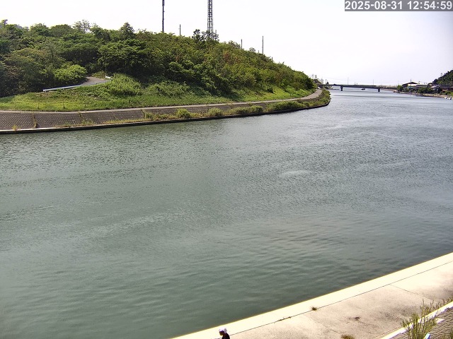 蒲生川１2025/08/31 15:20:00