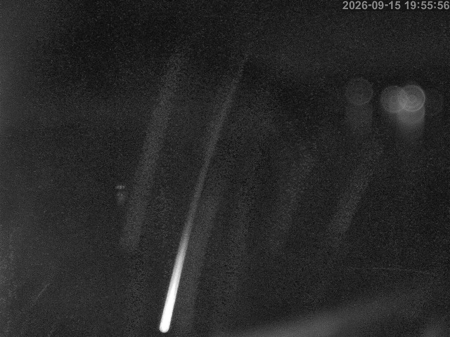 蒲生川１2026/09/16 16:40:00