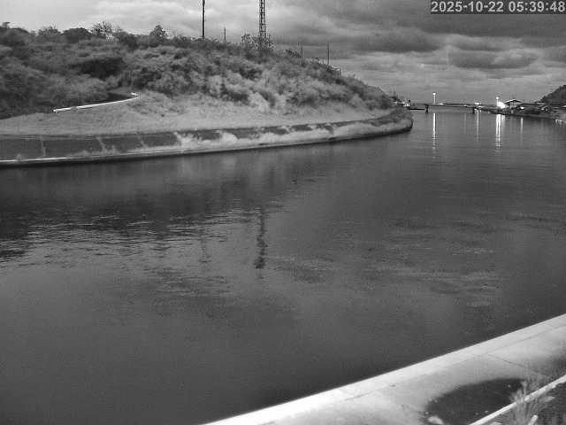 蒲生川１2025/10/22 11:30:00