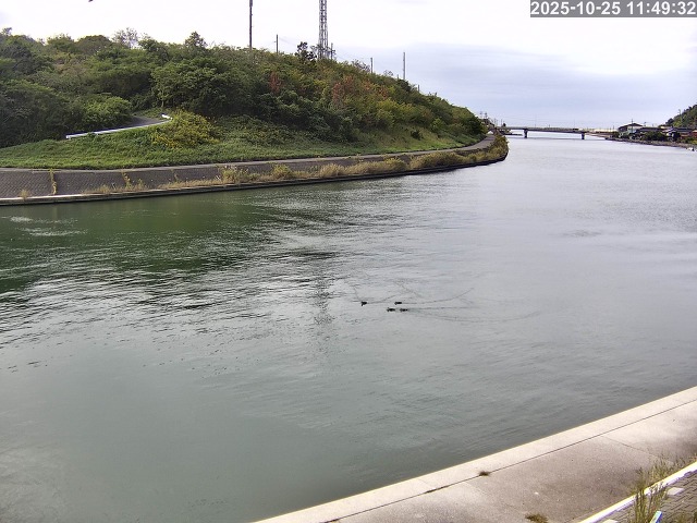 蒲生川12025/10/25 13:20