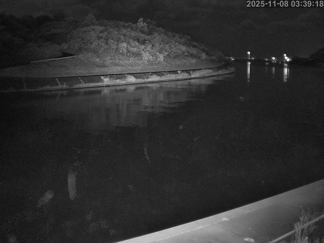 蒲生川１2025/11/08 18:20