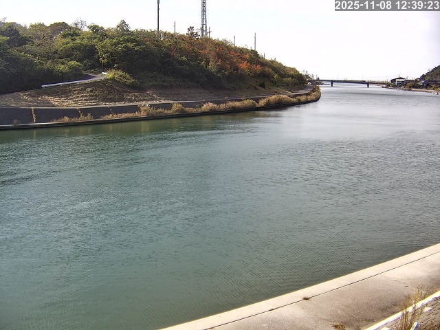 蒲生川１2025/11/08 18:20