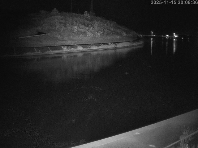 蒲生川１2025/11/15 20:40:00