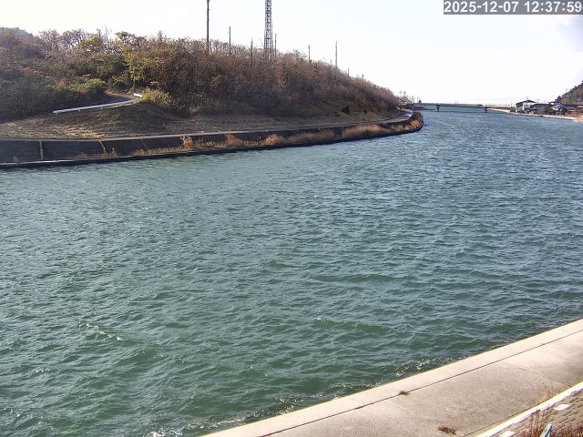 蒲生川１2025/12/08 11:30:00