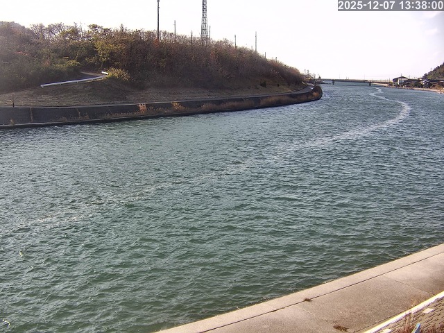 蒲生川１2025/12/08 11:30:00