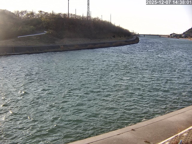蒲生川１2025/12/08 11:30:00