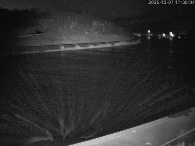 蒲生川１2025/12/08 11:30:00