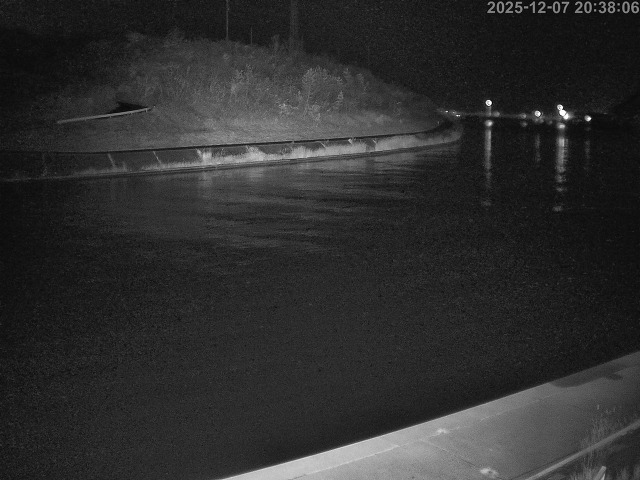 蒲生川１2025/12/08 11:30:00