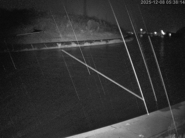 蒲生川１2025/12/08 11:30:00