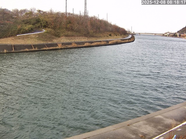 蒲生川１2025/12/08 11:30:00