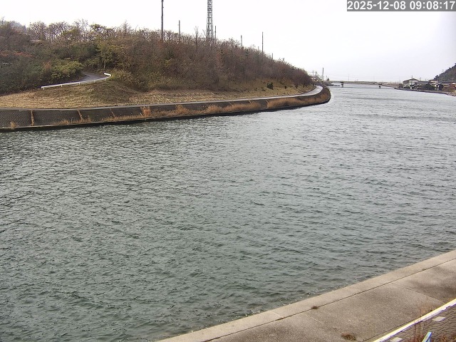 蒲生川１2025/12/08 11:30:00