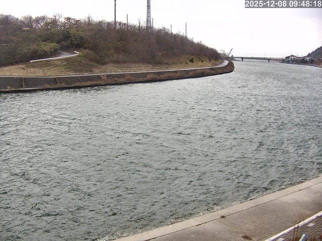 蒲生川１2025/12/08 11:30:00