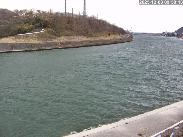 蒲生川１2025/12/08 11:30:00