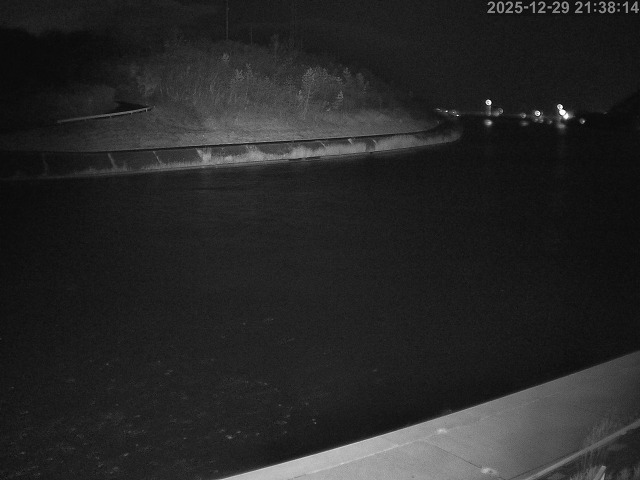 蒲生川１2025/12/30 7:20:00