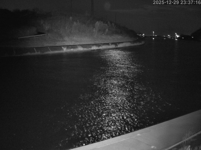 蒲生川１2025/12/30 7:20:00