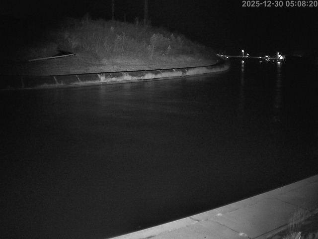 蒲生川１2025/12/30 7:20:00