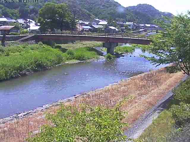 蒲生川３2025/06/06 1:00:00